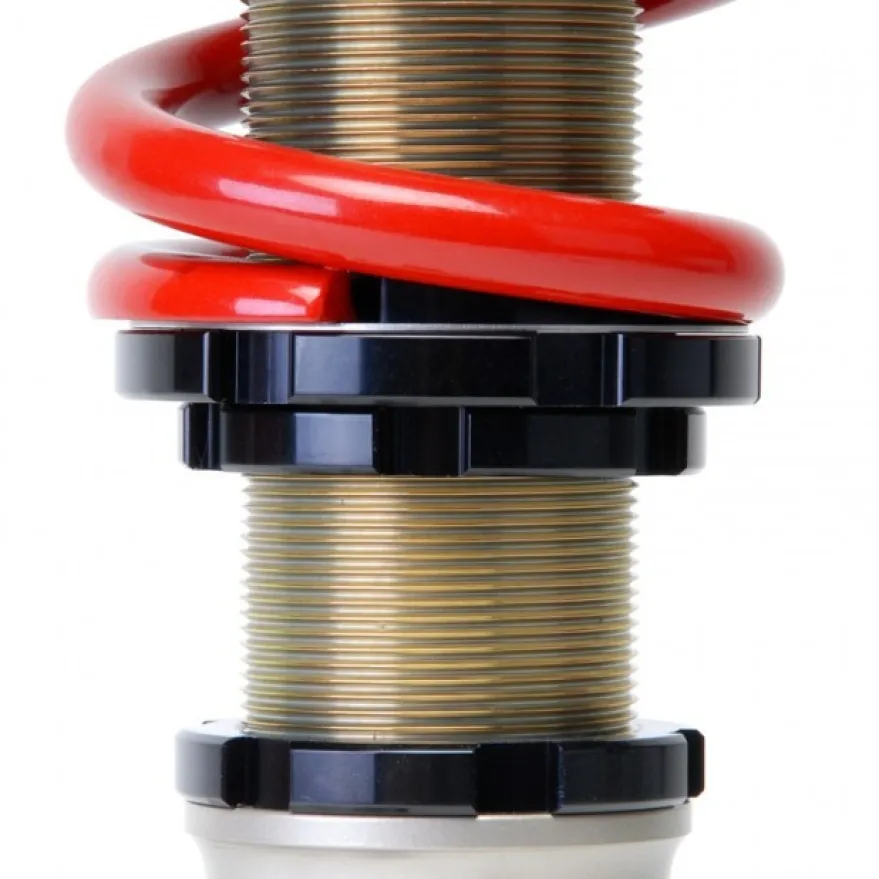 Acura RSX 2002-2004 Pro-S II Coilovers Skunk2