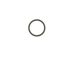 CPS-23798 - GiroDisc Piston Seal