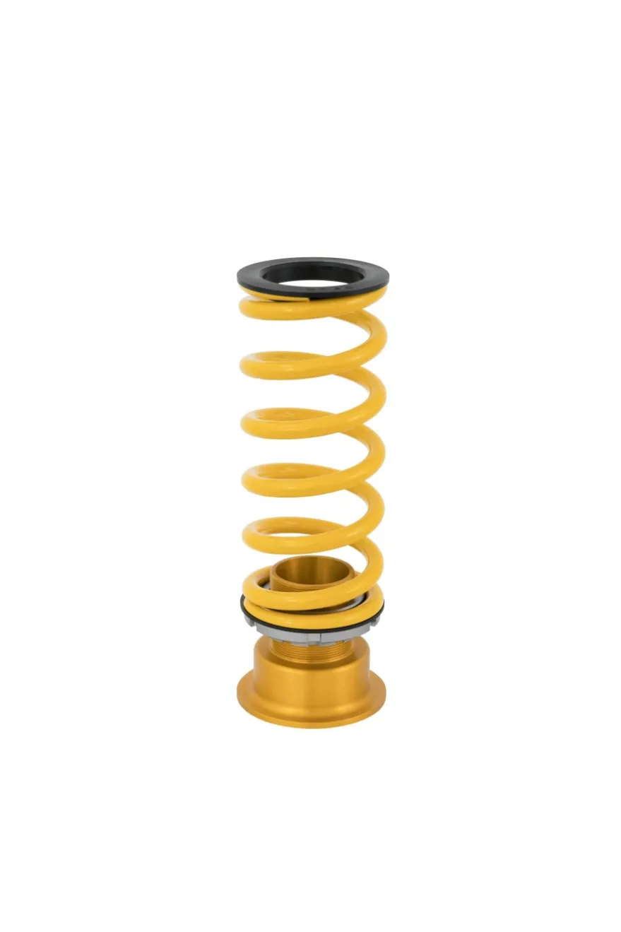 Honda Civic Type-R FK2 Road & Track Coilovers Öhlins