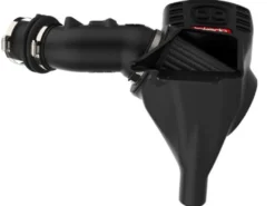 Honda Civic Type R 2017-2021 L4-2.0L (t) Momentum GT Pro DRY S Insugskit - aFe Power