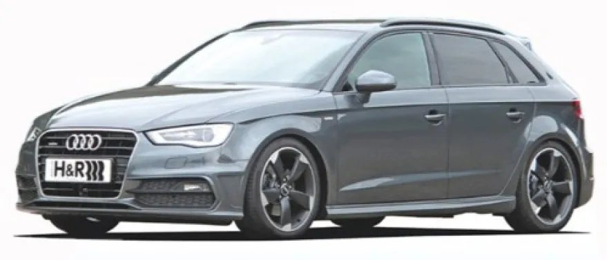 H&R Cupkit Audi A3 Typ 8V Sedan-Sportback 50mm fjäderben Framaxelvikt Från 1011kg 2wd Multilink