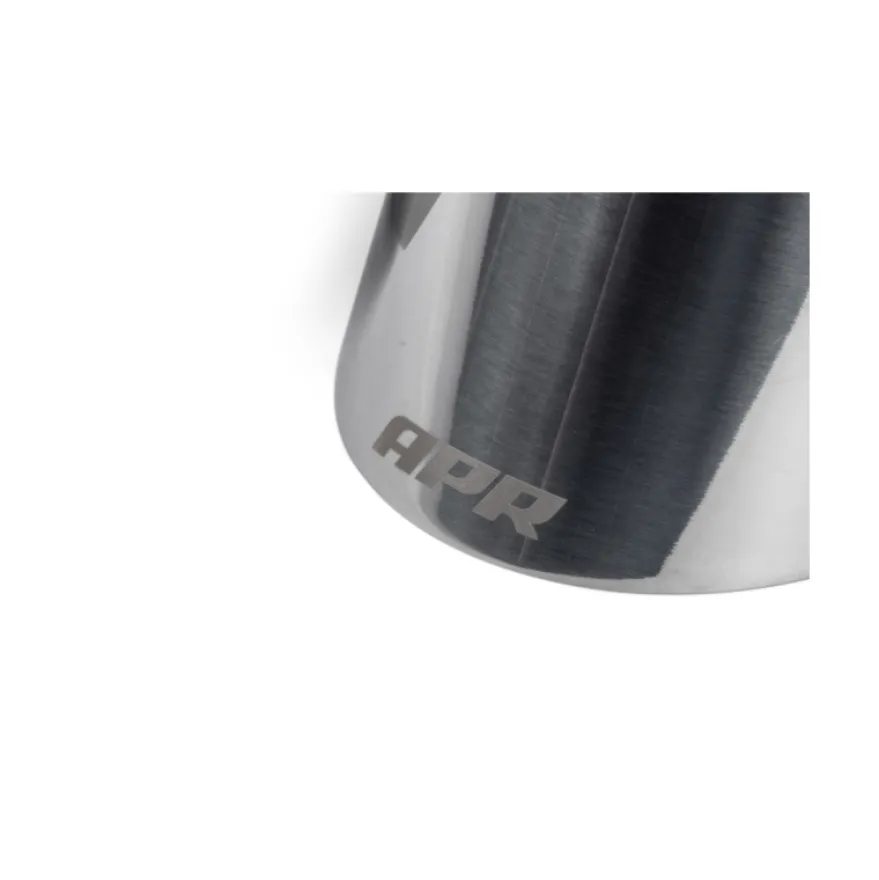 Ändrör 4 Tum Enkelväggiga Snedskurna Polerad Silver 2-Pack APR