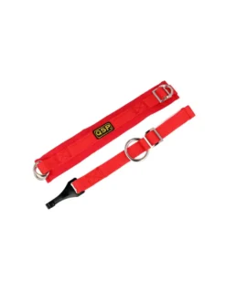 QSP Arm Restraint - SFI